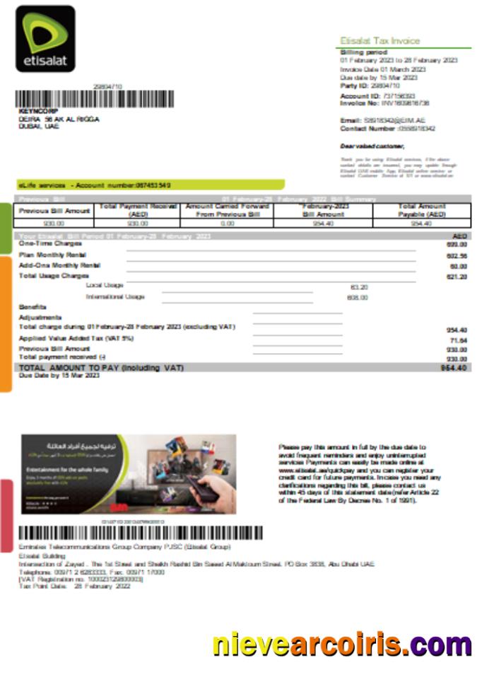Etisalat utility business bill